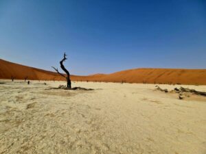 14 day Namibia overland desert tour.